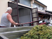 Svuotamento del carro